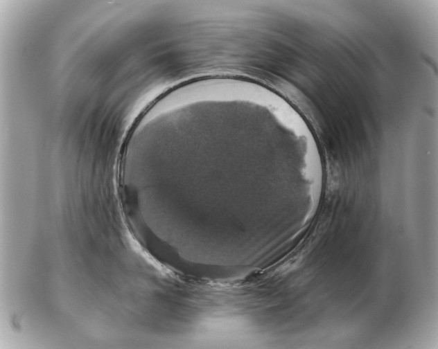 X0000102520958200808291754