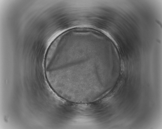 X0000102520959200808291754