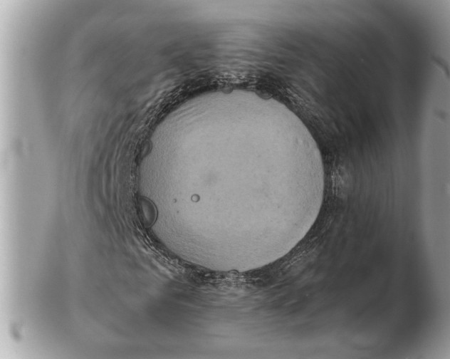 X0000102520961200808291753