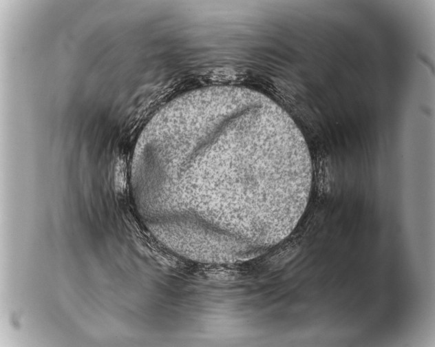 X0000102520962200808291753