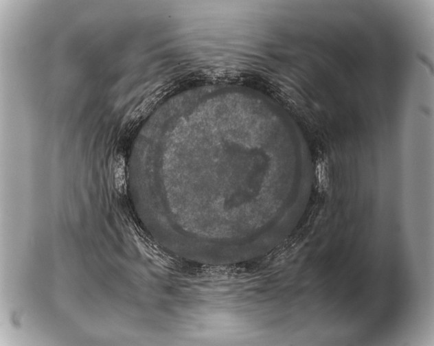 X0000102520963200808291753