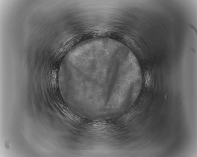 X0000102520964200808291753