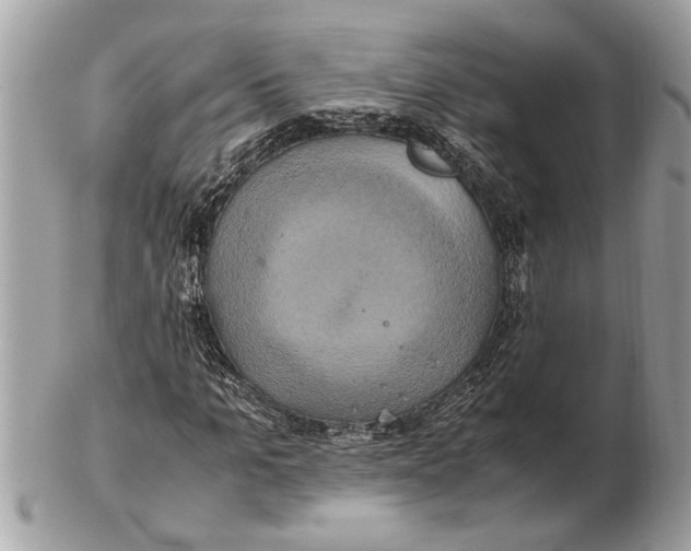 X0000102520965200808291753