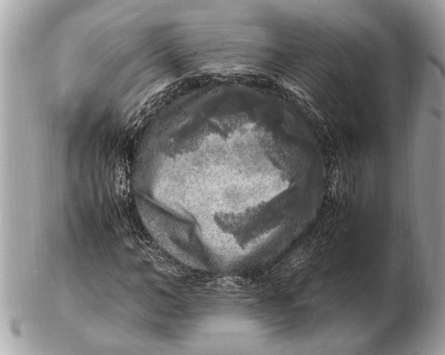 X0000102520966200808291753