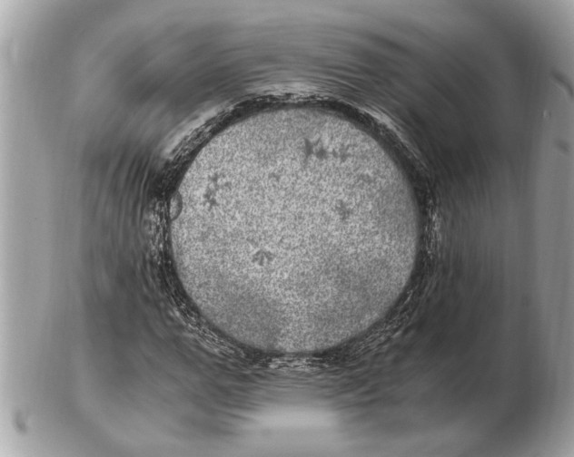 X0000102520967200808291753