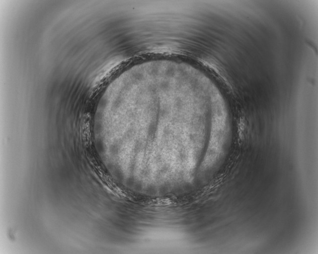 X0000102520968200808291753