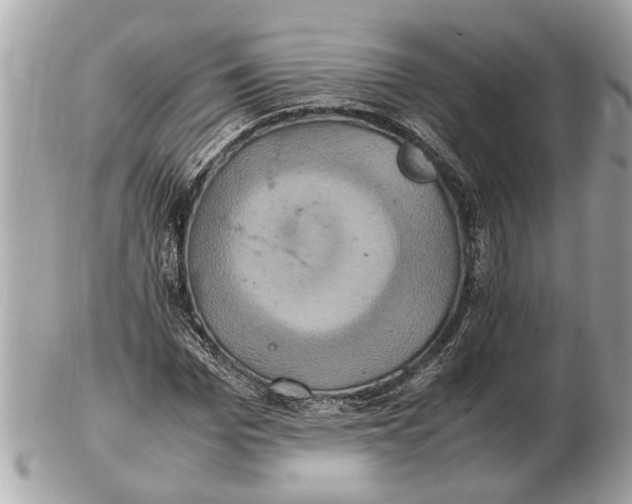 X0000102520969200808291753