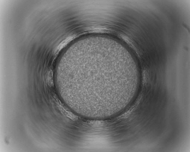 X0000102520970200808291753