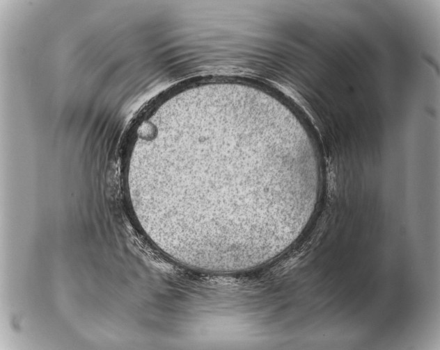 X0000102520971200808291753