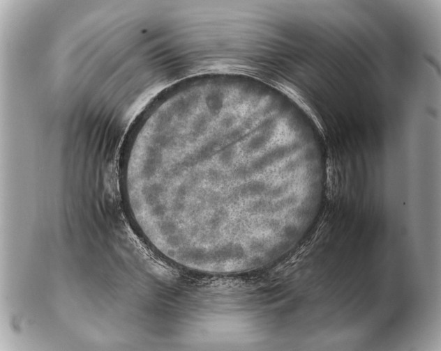 X0000102520972200808291753