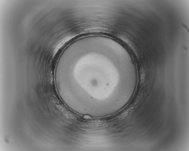 X0000102520973200808291753