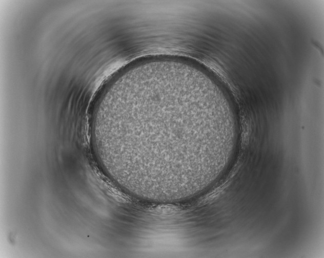 X0000102520974200808291753