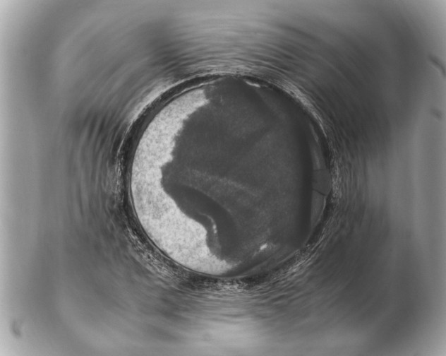 X0000102520975200808291753