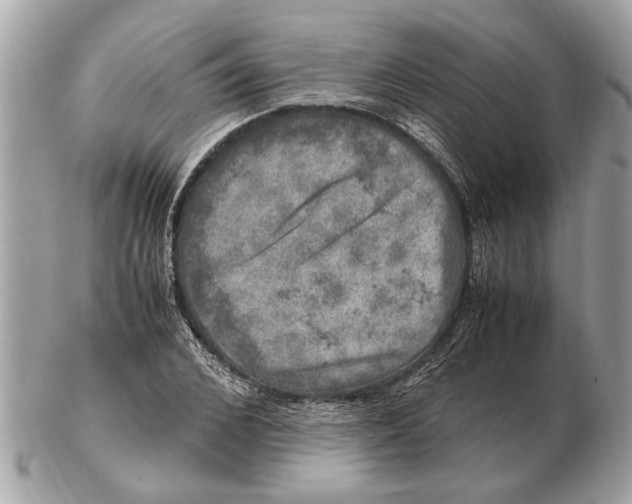 X0000102520976200808291753