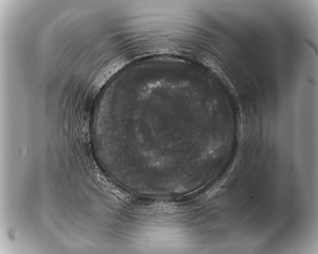 X0000102520977200808291753