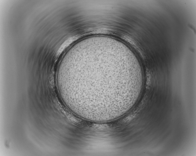 X0000102520978200808291753