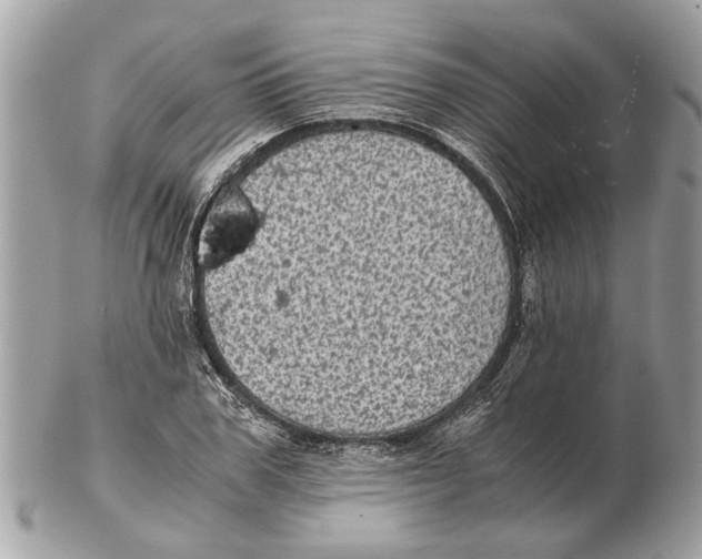 X0000102520979200808291753