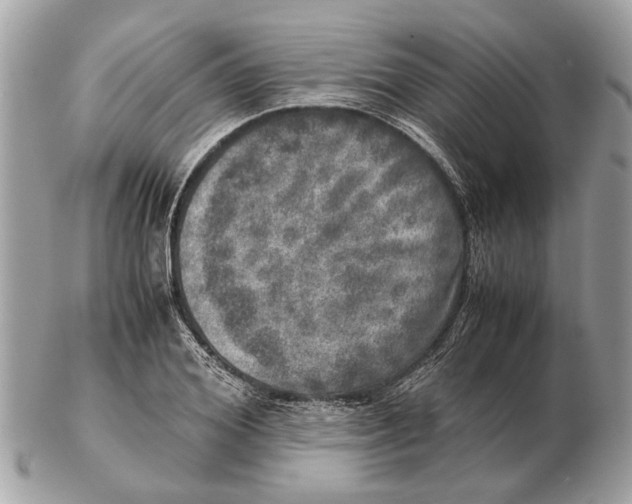 X0000102520980200808291753