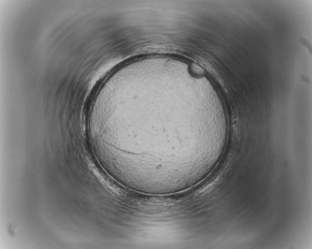 X0000102520981200808291753