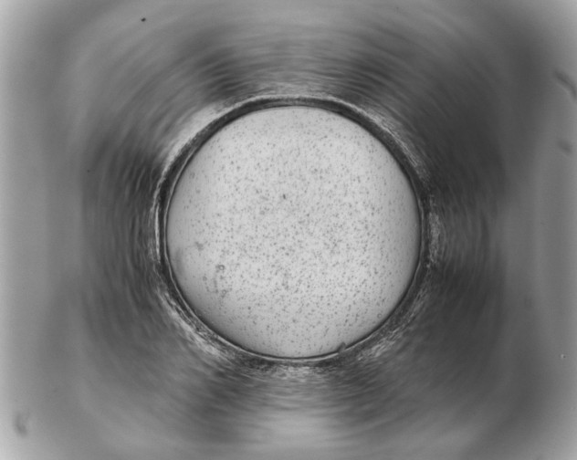 X0000102520982200808291753