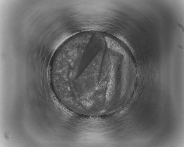 X0000102520983200808291753