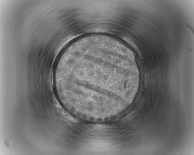 X0000102520984200808291753