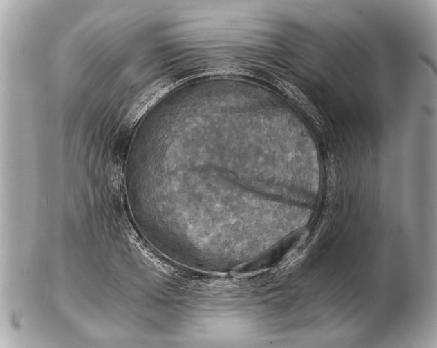 X0000102520985200808291753