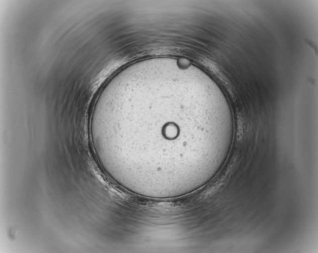 X0000102520986200808291753