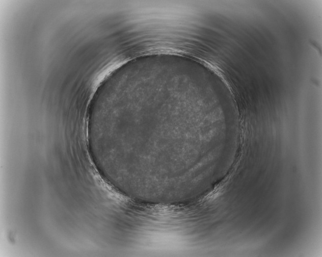 X0000102520987200808291753