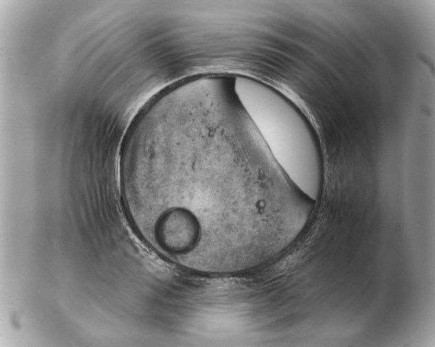 X0000102520988200808291753