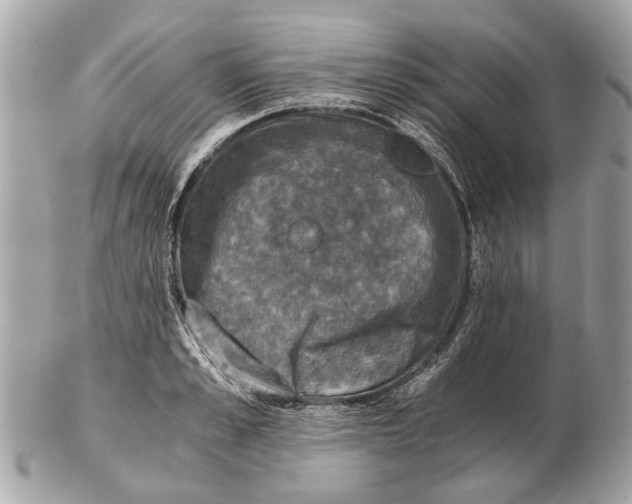 X0000102520989200808291753