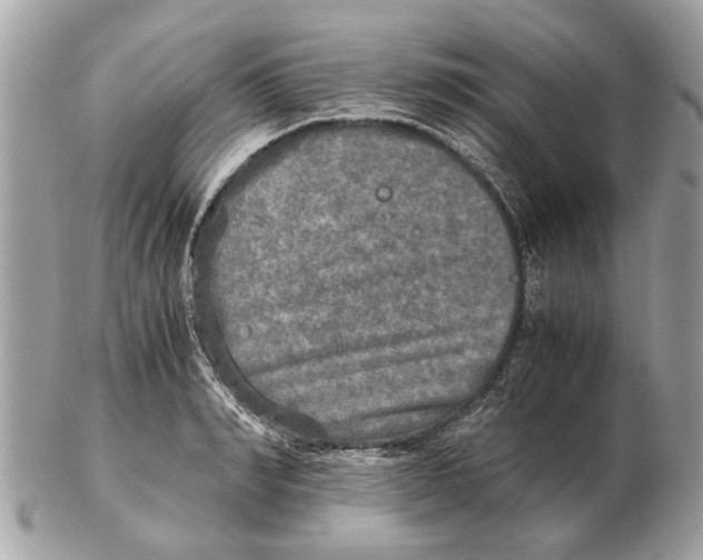 X0000102520990200808291753