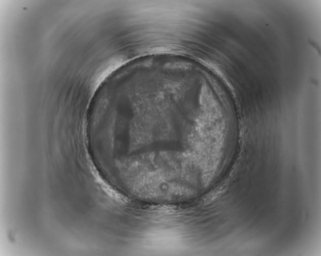 X0000102520991200808291753