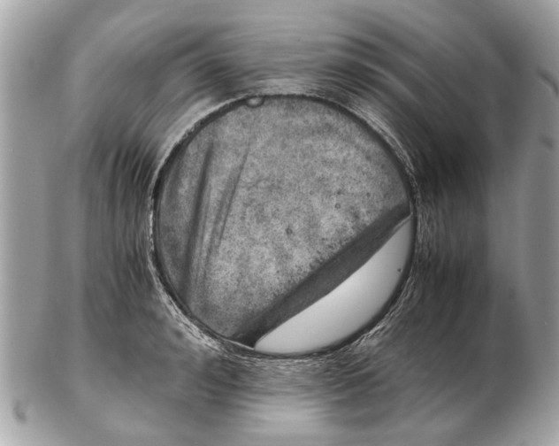 X0000102520992200808291753