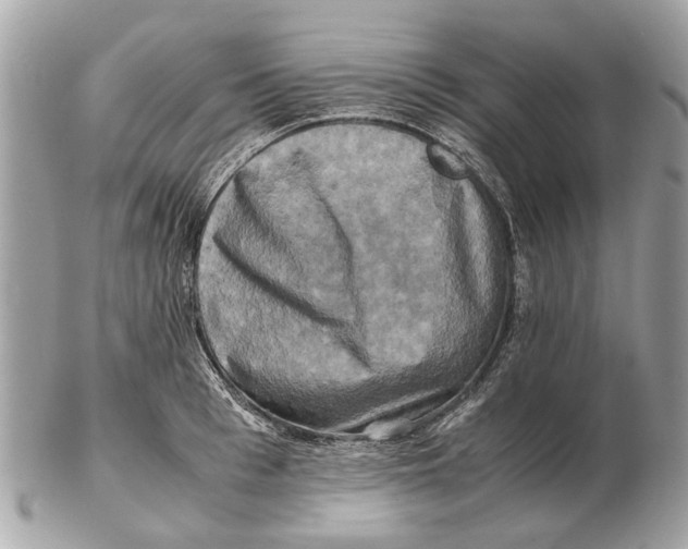 X0000102520993200808291753