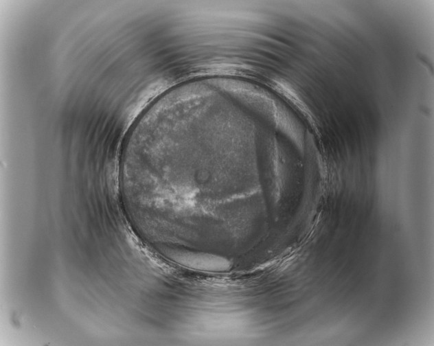 X0000102520994200808291753