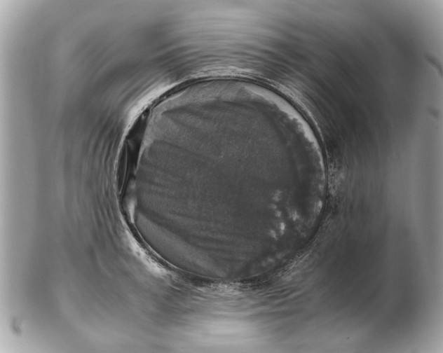 X0000102520995200808291753