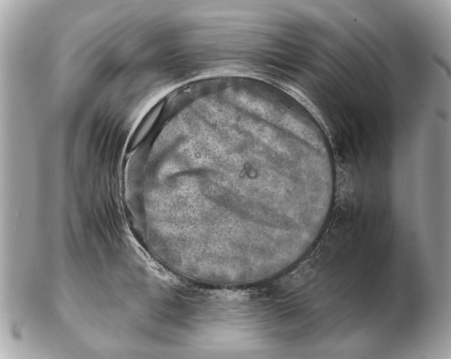 X0000102520996200808291753