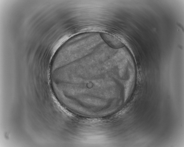 X0000102520997200808291753