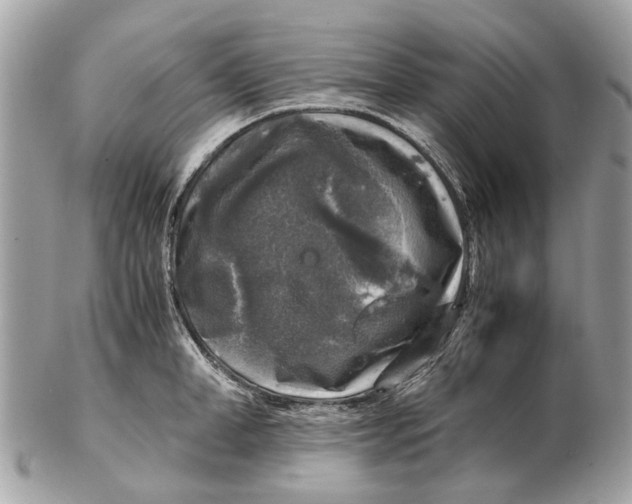 X0000102520998200808291753