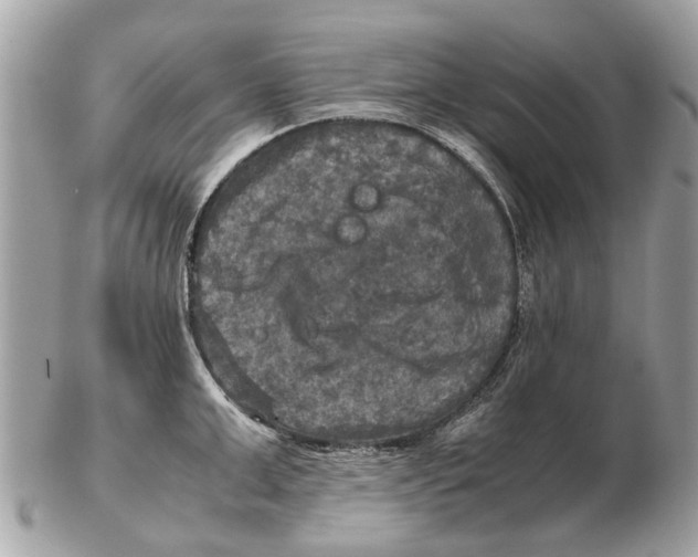 X0000102520999200808291753