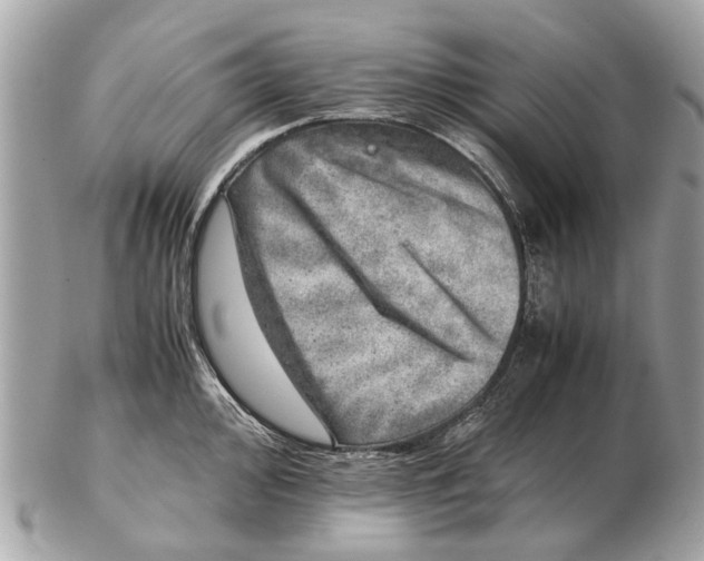 X0000102521000200808291753