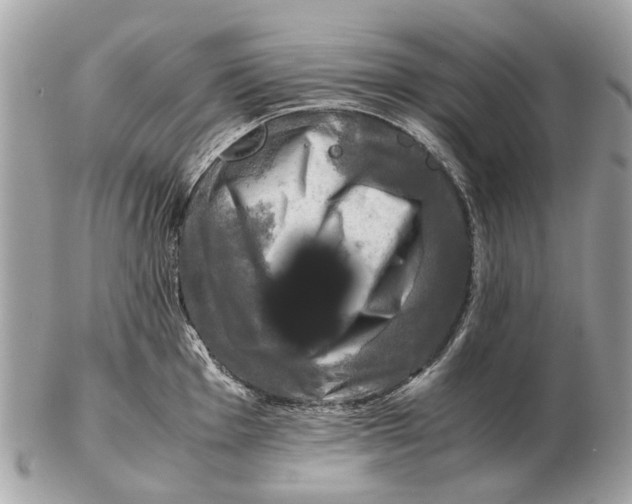 X0000102521001200808291753