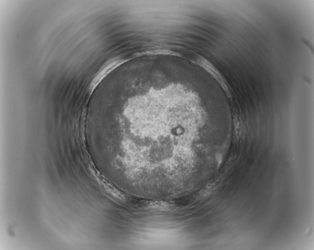 X0000102521002200808291753