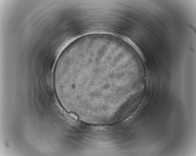 X0000102521004200808291752