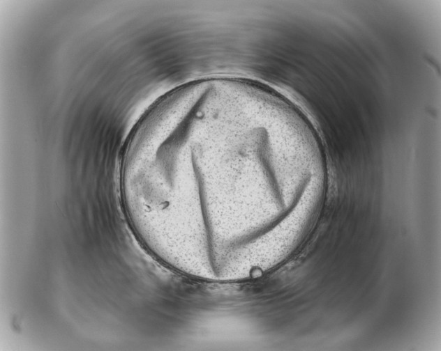 X0000102521006200808291752