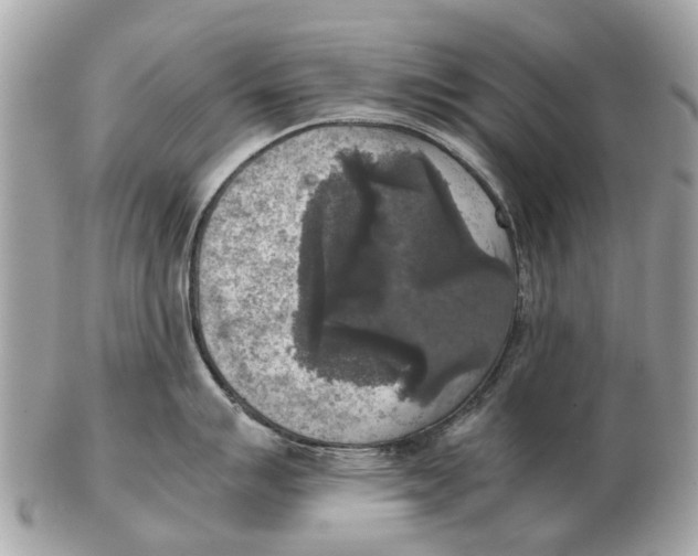 X0000102521007200808291752