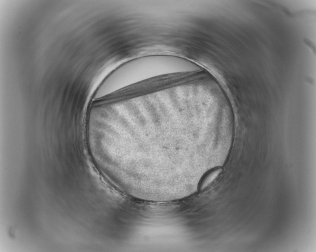 X0000102521008200808291752