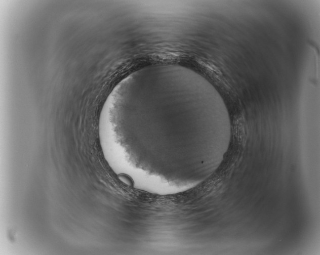 X0000102521009200808291752