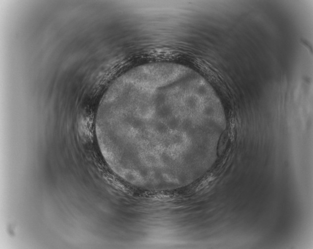 X0000102521010200808291752